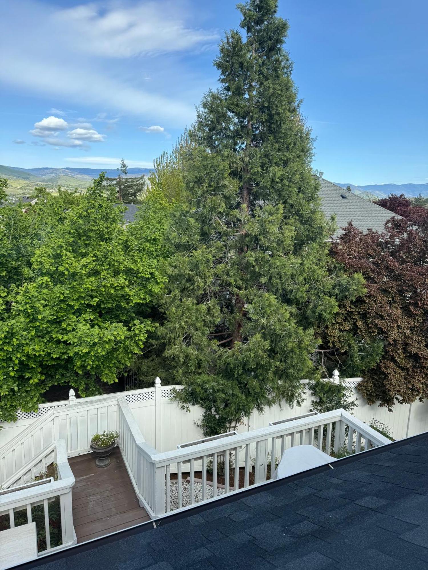 Bayberry Inn B&B And Oregon Wellness Retreat Ashland Exterior photo